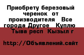 Приобрету березовый черенок  от производителя - Все города Другое » Куплю   . Тыва респ.,Кызыл г.